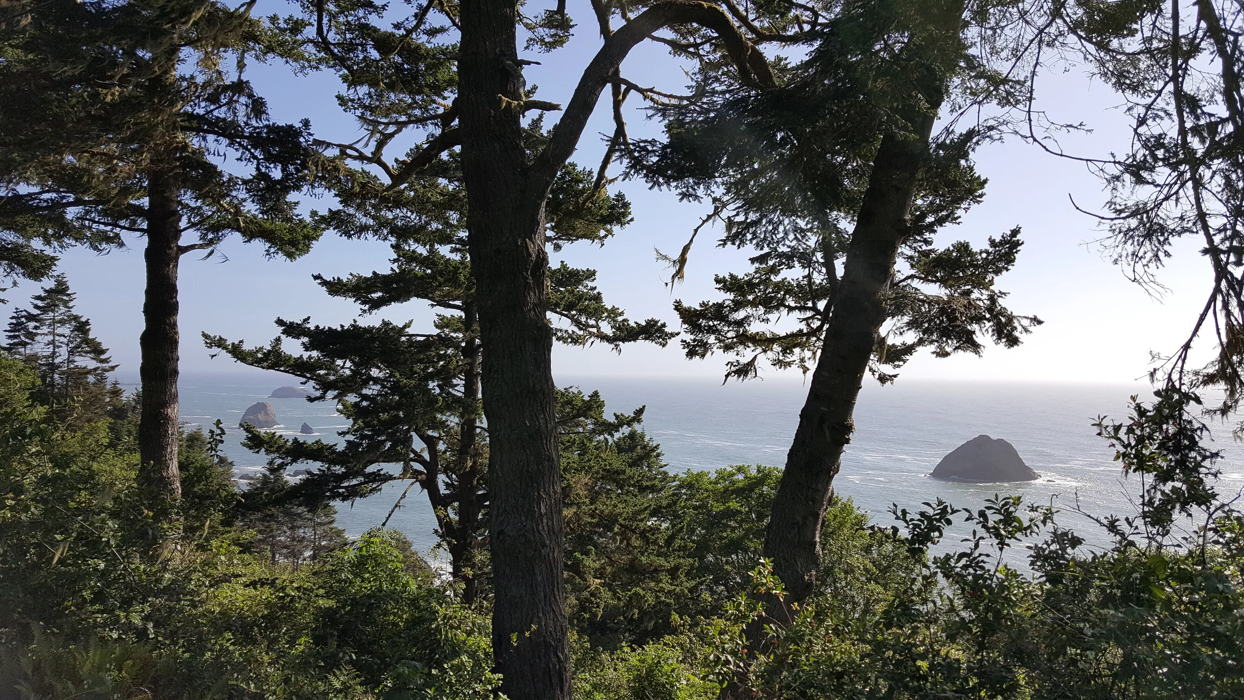 20160509_171036.jpg