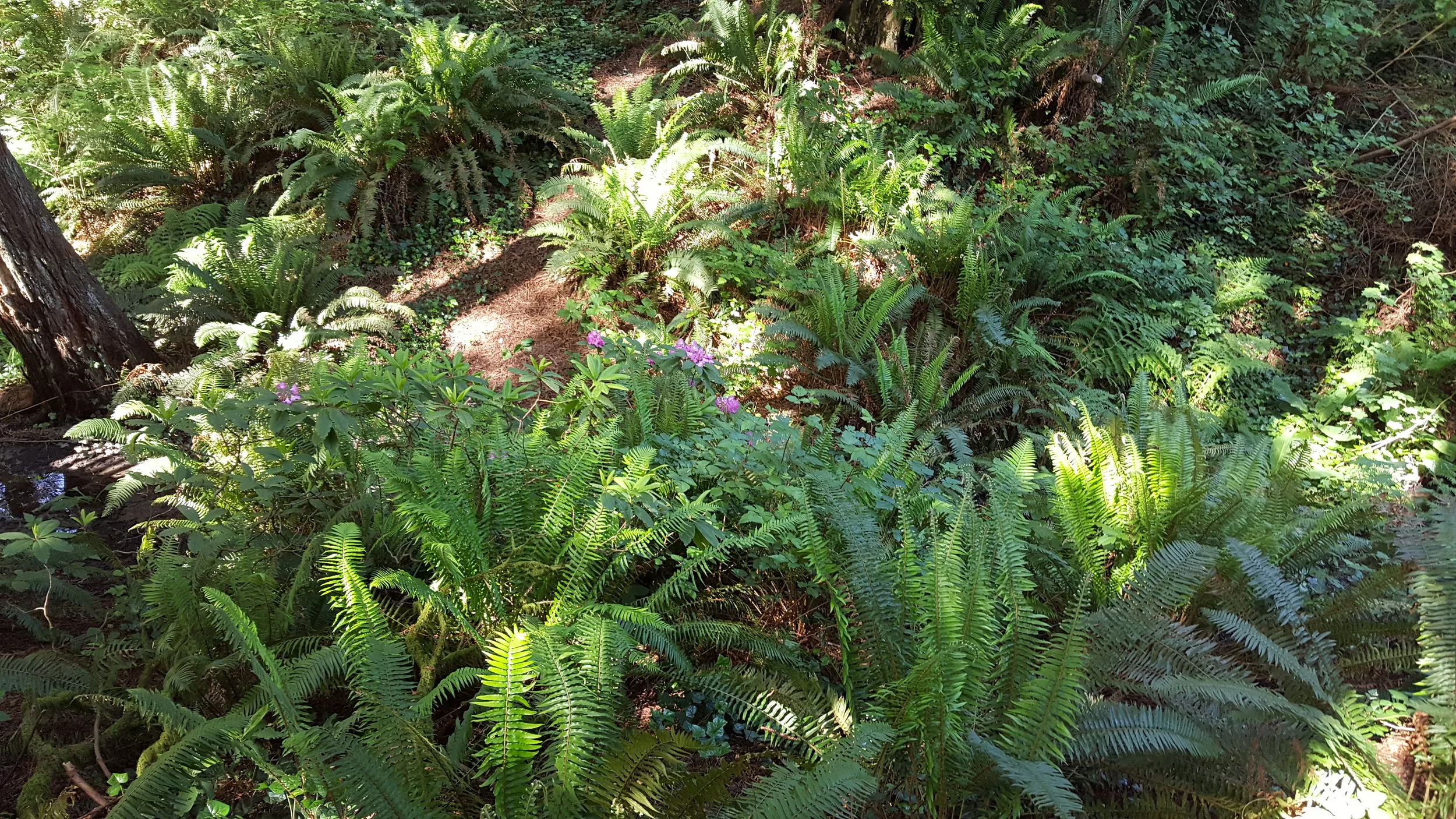 20160509_160848.jpg