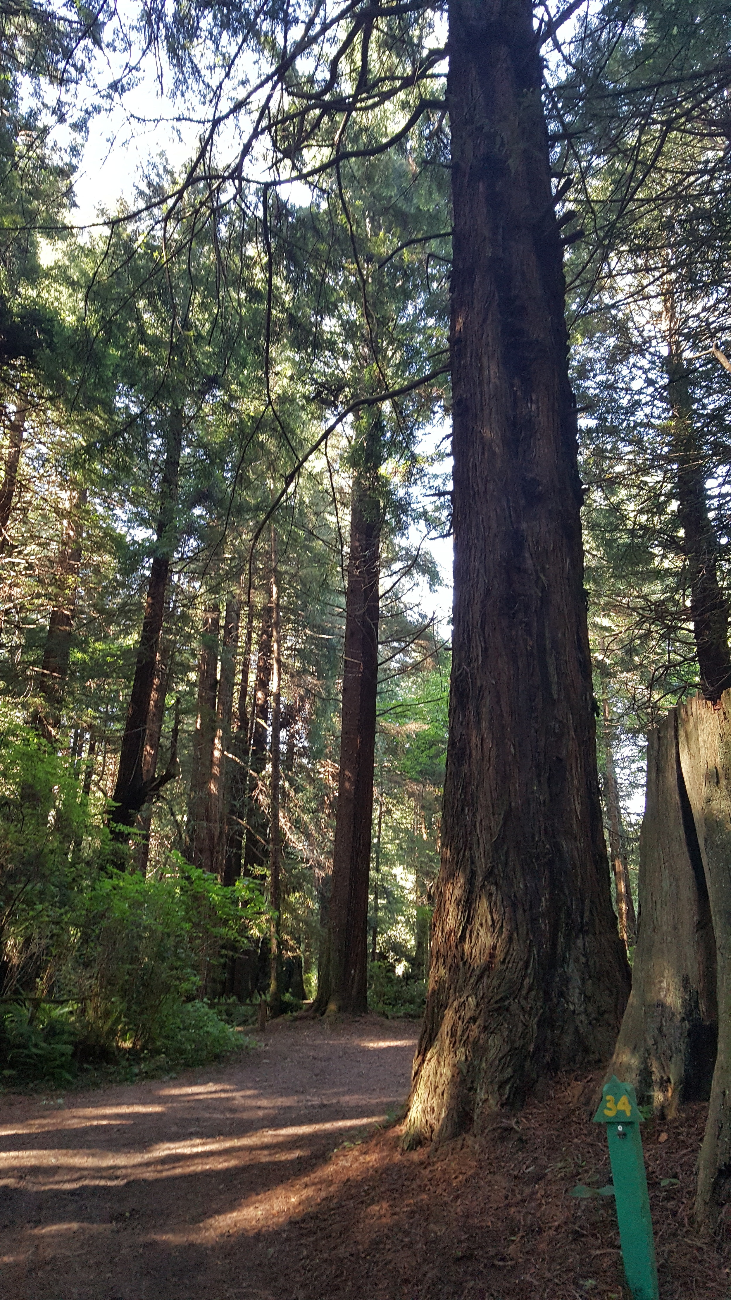 20160509_165949.jpg