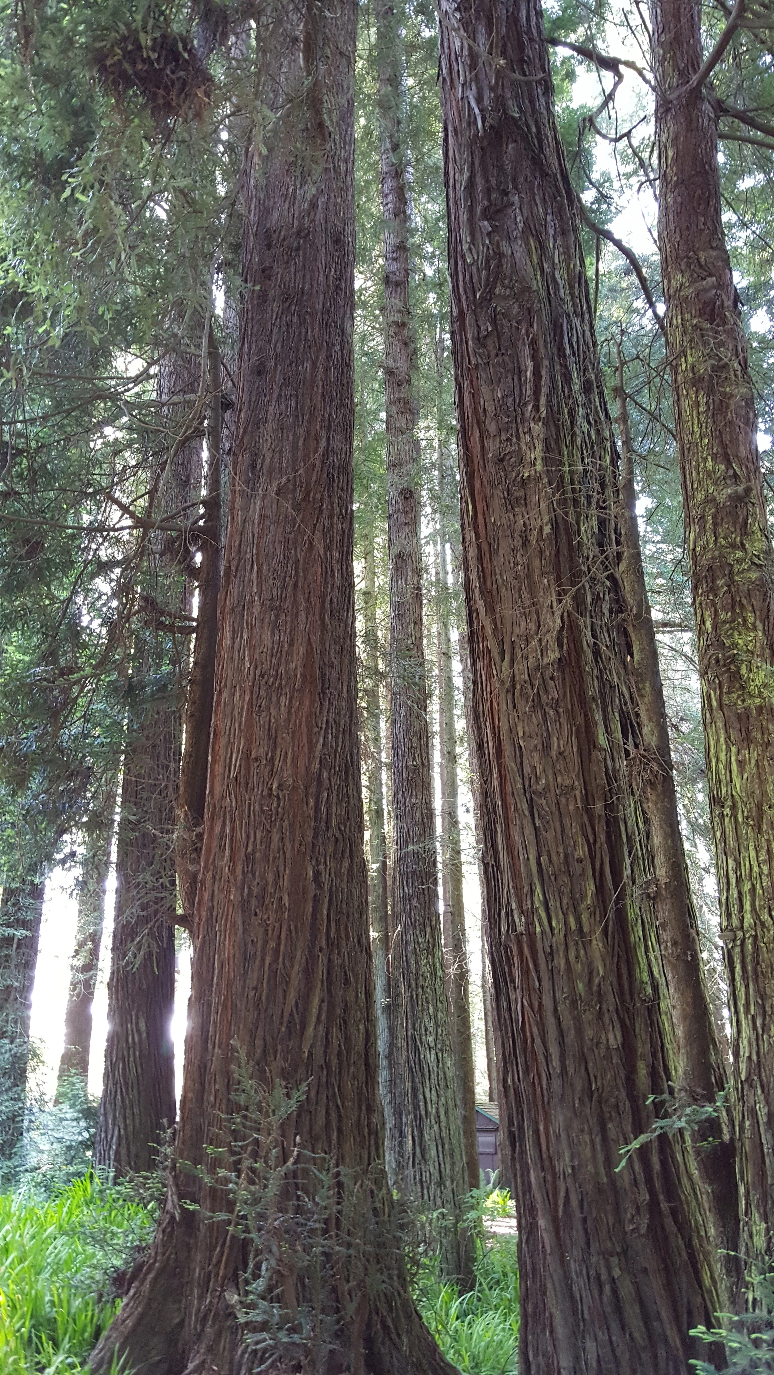 20160509_164319.jpg