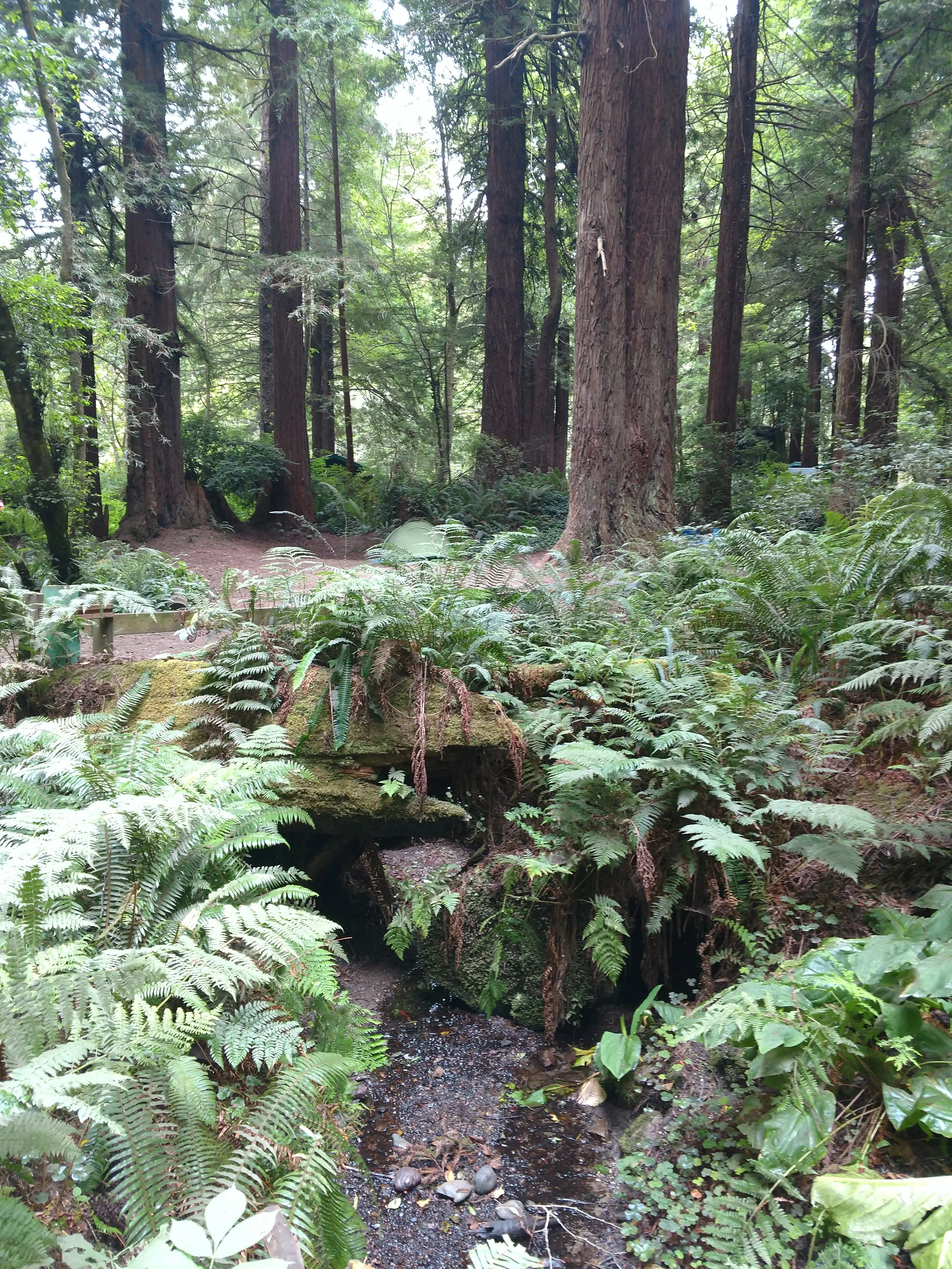 site # 29