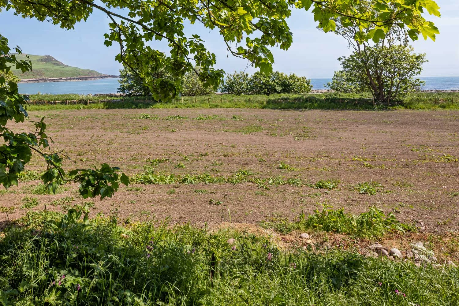 The field on the east coast between Aberdeen and Dundee, where the looped collector pipes for the ground source heat pump were laid.
