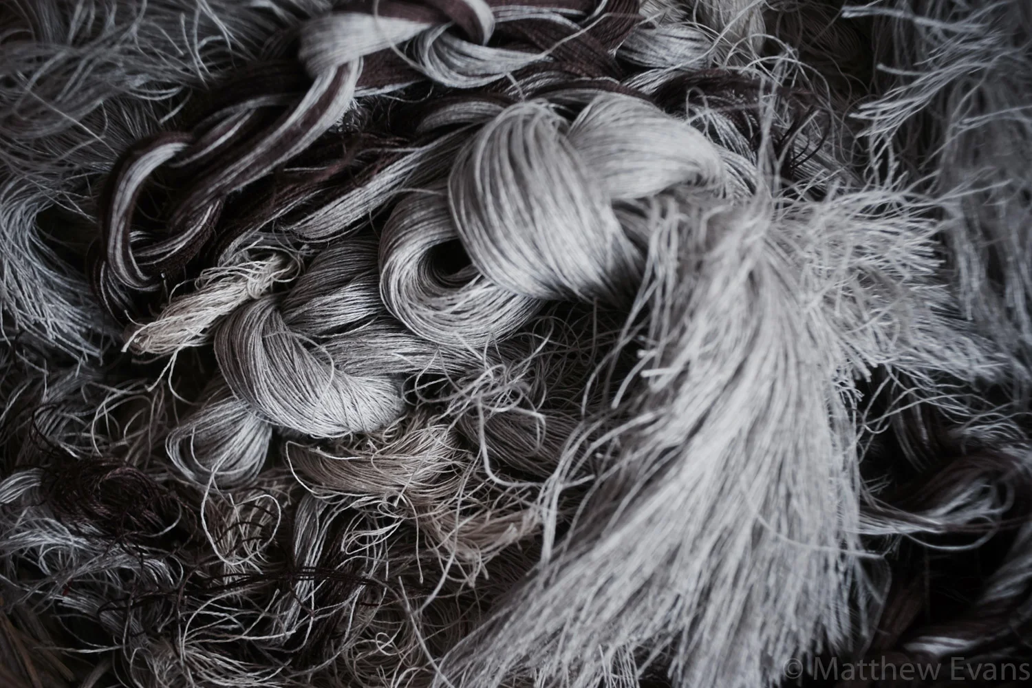 WeaveAM--70.jpg