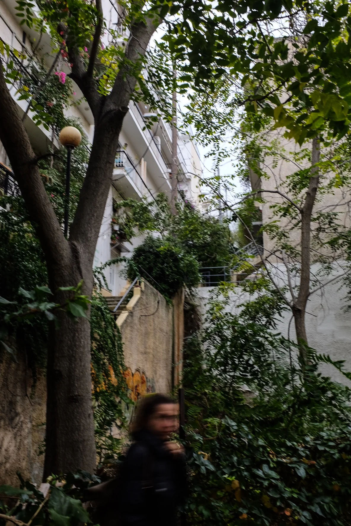 5B09FE93-7284-4A90-AE40-91936EE505B6.jpeg