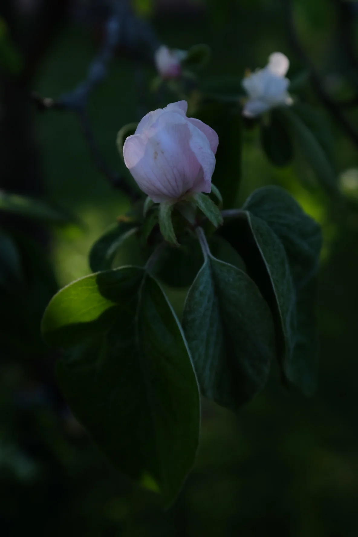0221DE1A-A7CA-41D4-8ED0-0D5678C4C9F8.jpeg