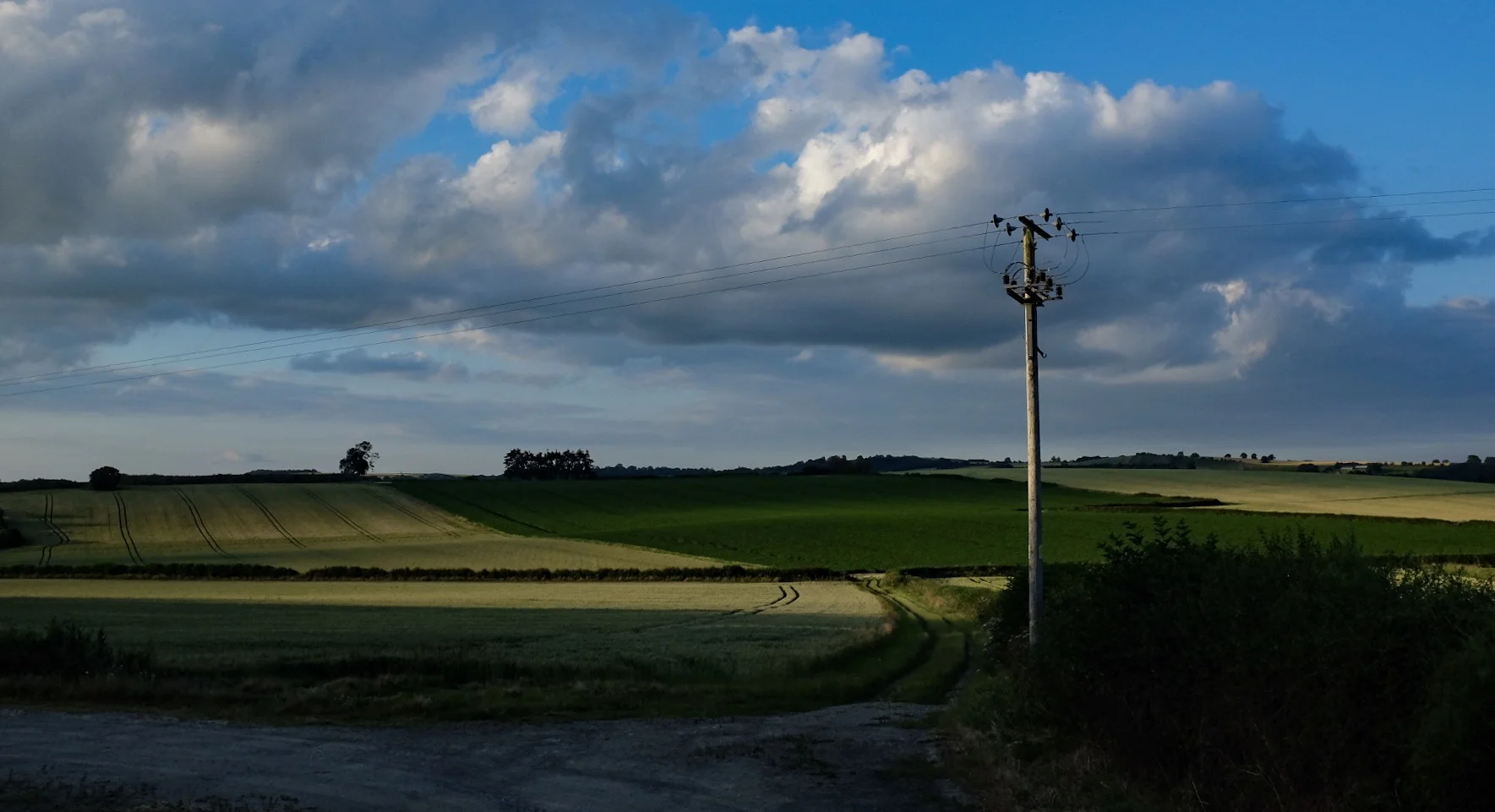 D2353632-D495-4E05-A8E5-5B9BD189AA82.jpeg