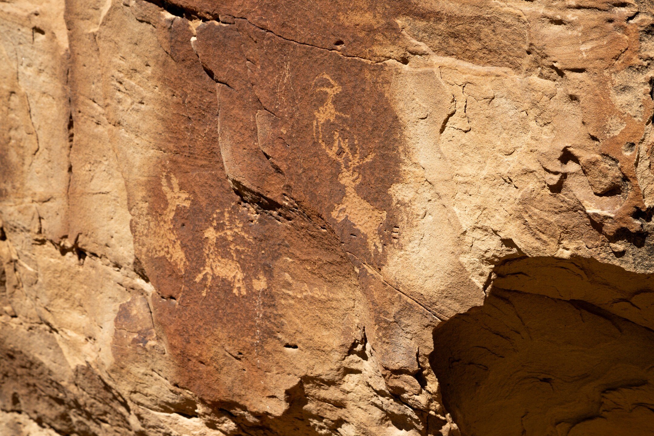 Petroglyphs have unique challenges in trying to understand their meanings. As they are carvings in the desert patina of exposed rock they are incredibly difficult to date within a range of even several thousand years. Beyond that, as some predate the