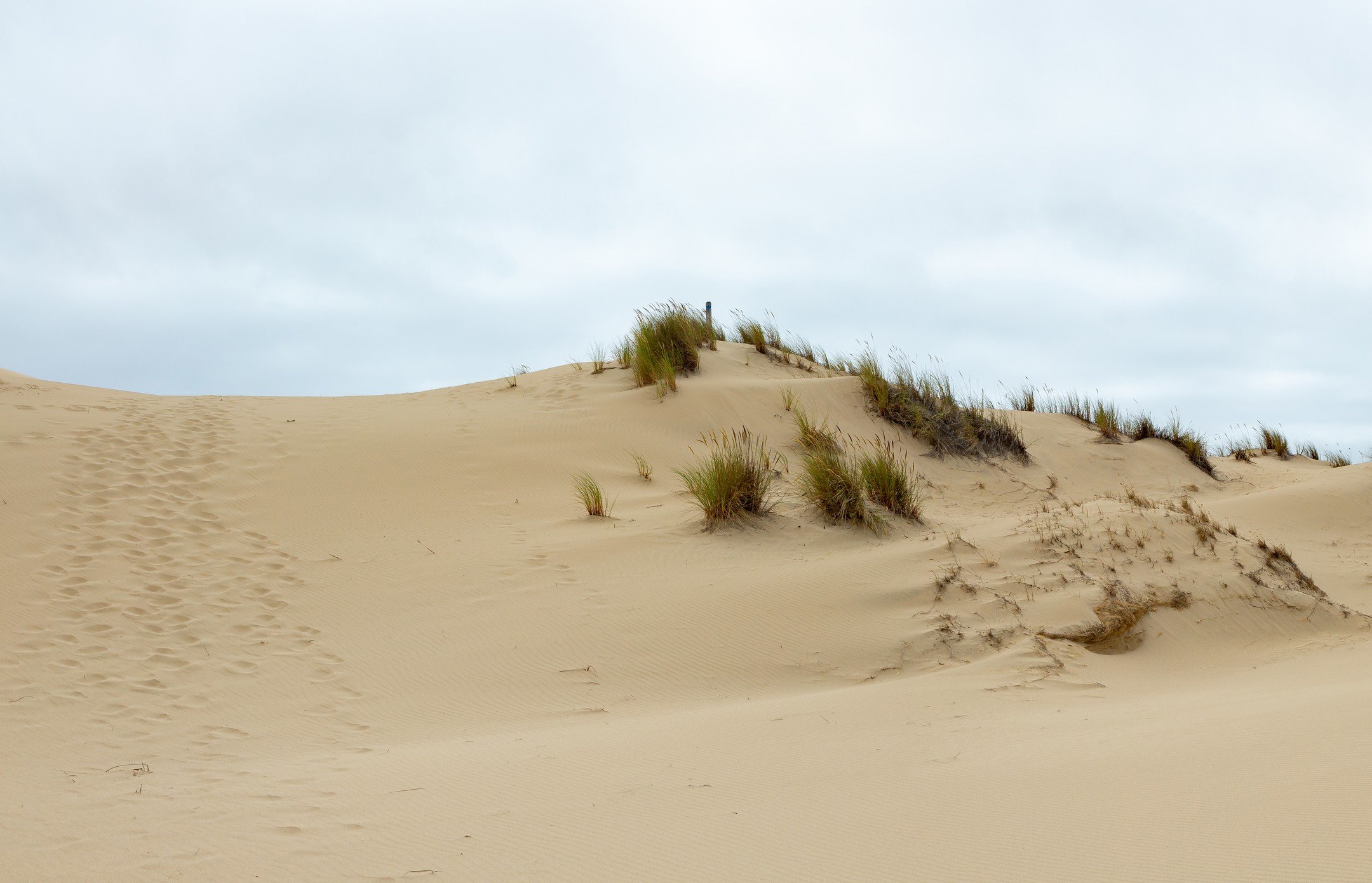 The Oregon Sand Dunes served as one of the inspirations for Frank Herbert's Dune.