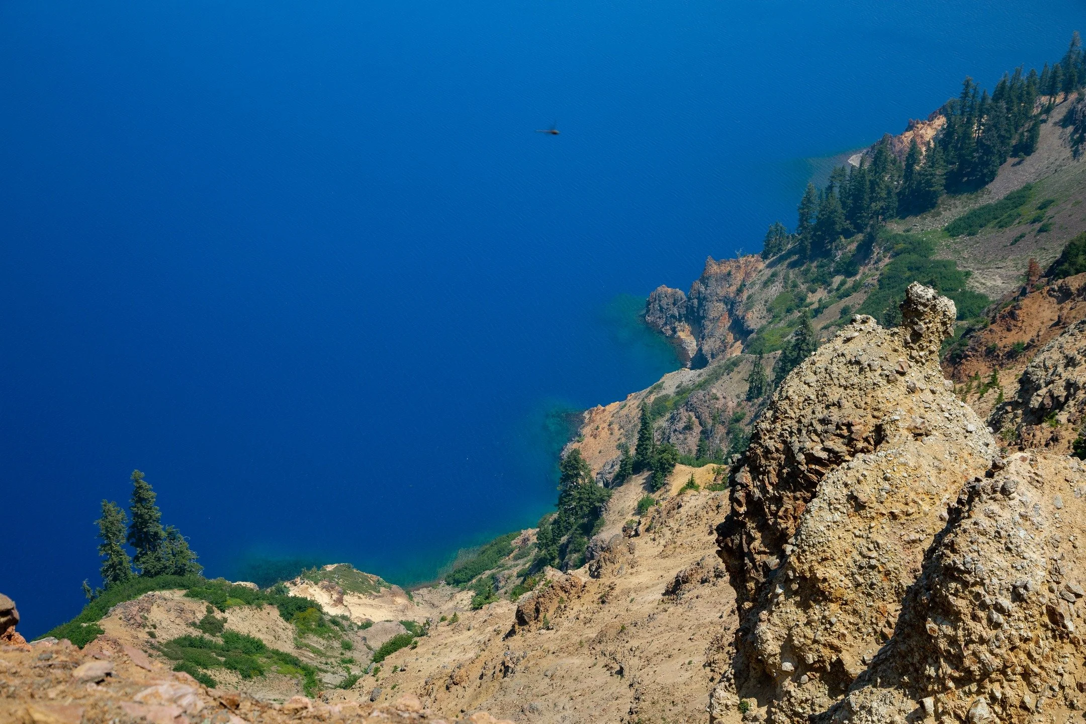 To us this is a breathtaking view of the slopes leading down into America's deepest lake, to the dragonfly in the foreground it's home.