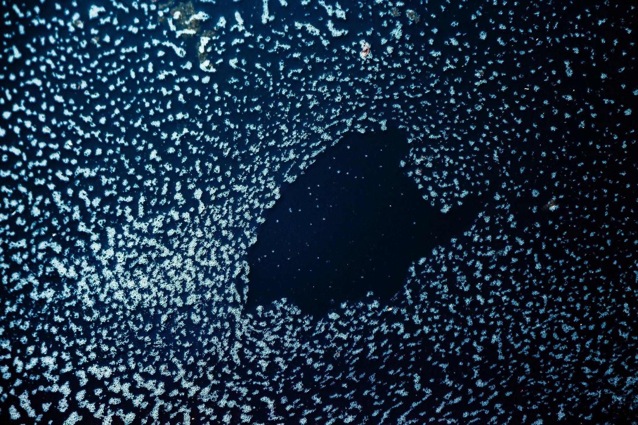 There are so many ways to see all things.