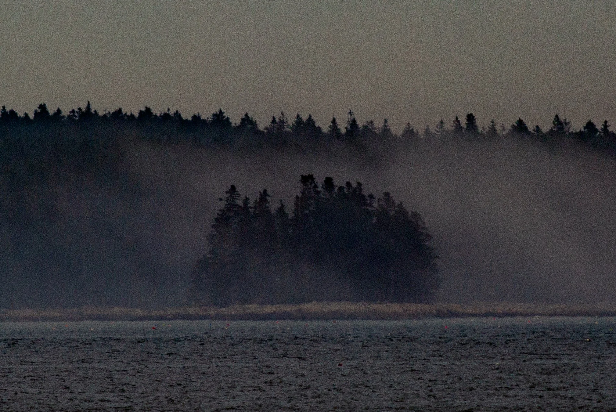 Choppy water, cold foggy mornings, lobsters, and logging; the setting is just right for an uncanny visitor emerging from the dark forest.