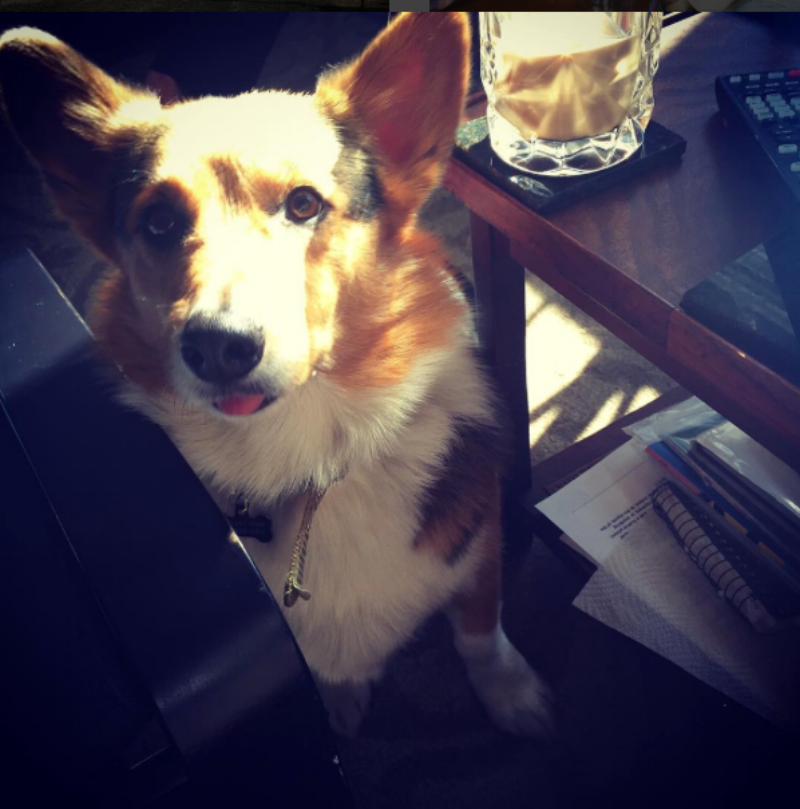 Screen Shot 2016-05-17 at 4.57.18 PM.png