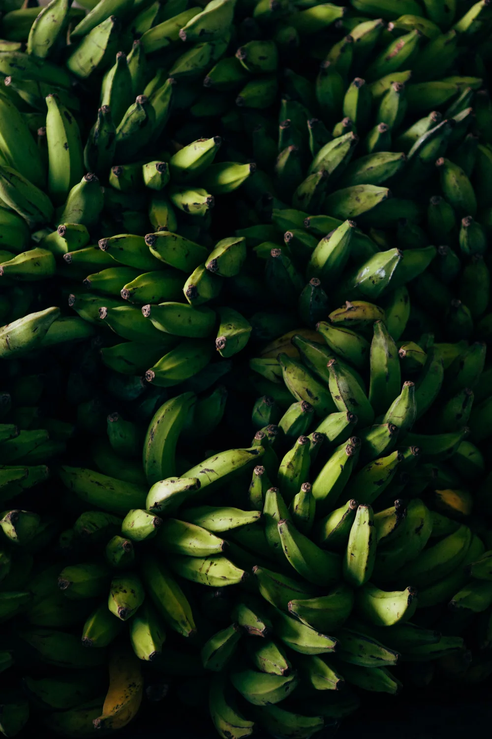 FOOD_AngeloDalBo_39.jpg