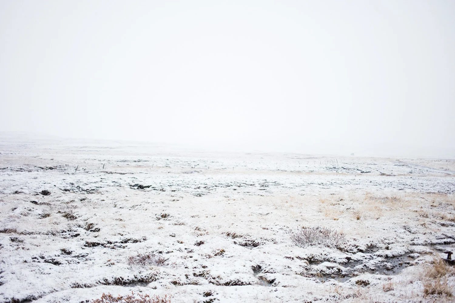 ICELAND_AngeloDalBo_08.jpg