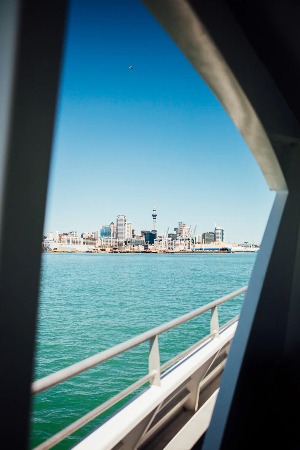 NEW ZEALAND_AngeloDalBo_01.jpg