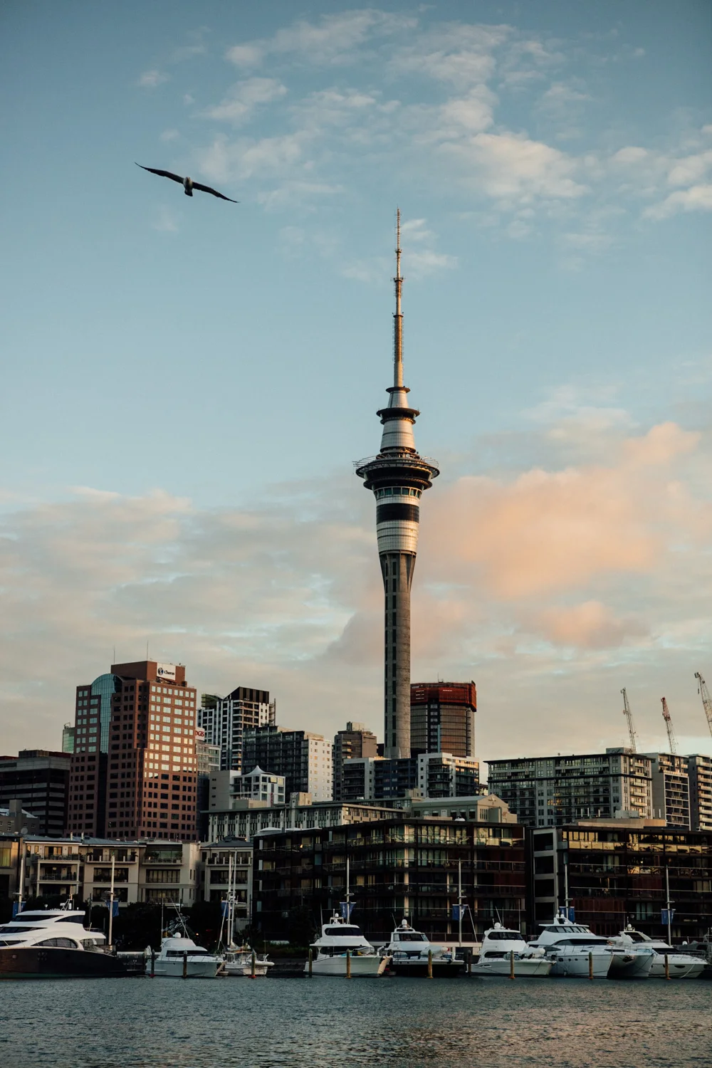 NEW ZEALAND_AngeloDalBo_07.jpg