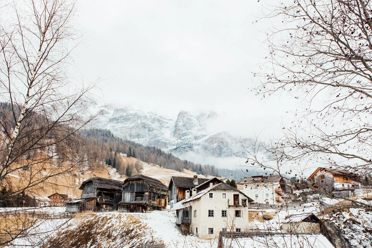 ALTA BADIA_AngeloDalBo_06.jpg