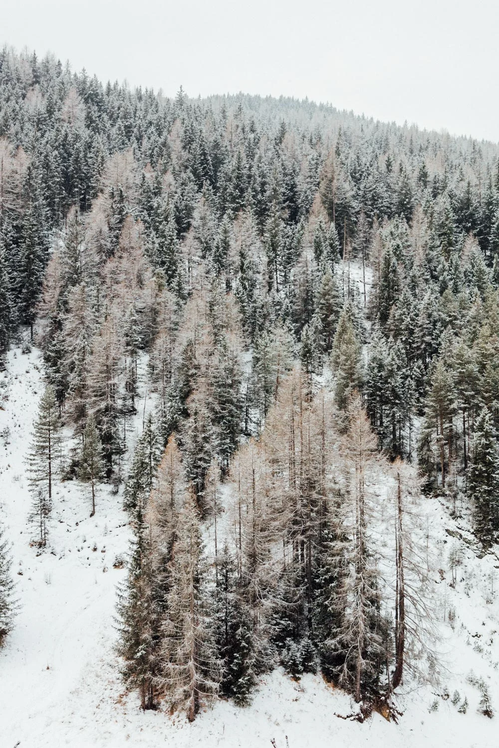 ALTA BADIA_AngeloDalBo_10.jpg
