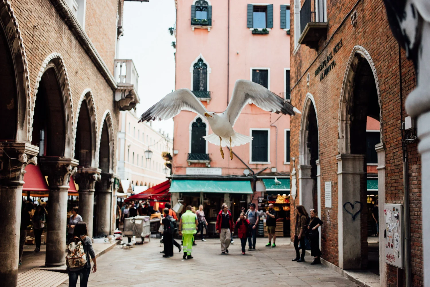VENEZA_AngeloDalBo_27.jpg