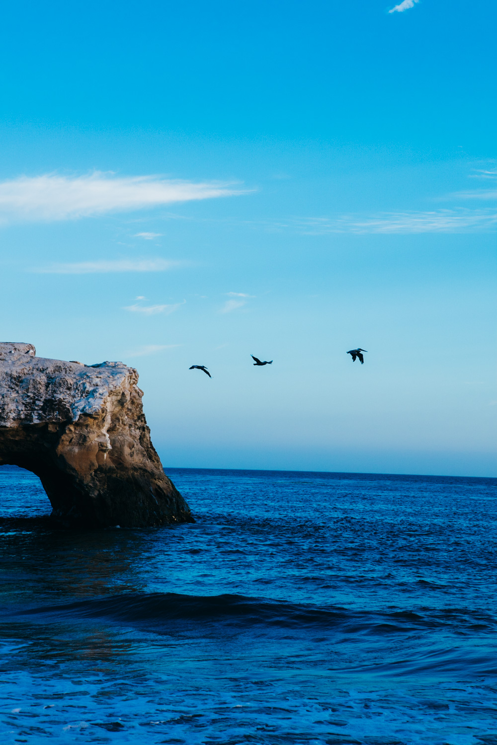 CALIFORNIA_AngeloDalBo_15.jpg