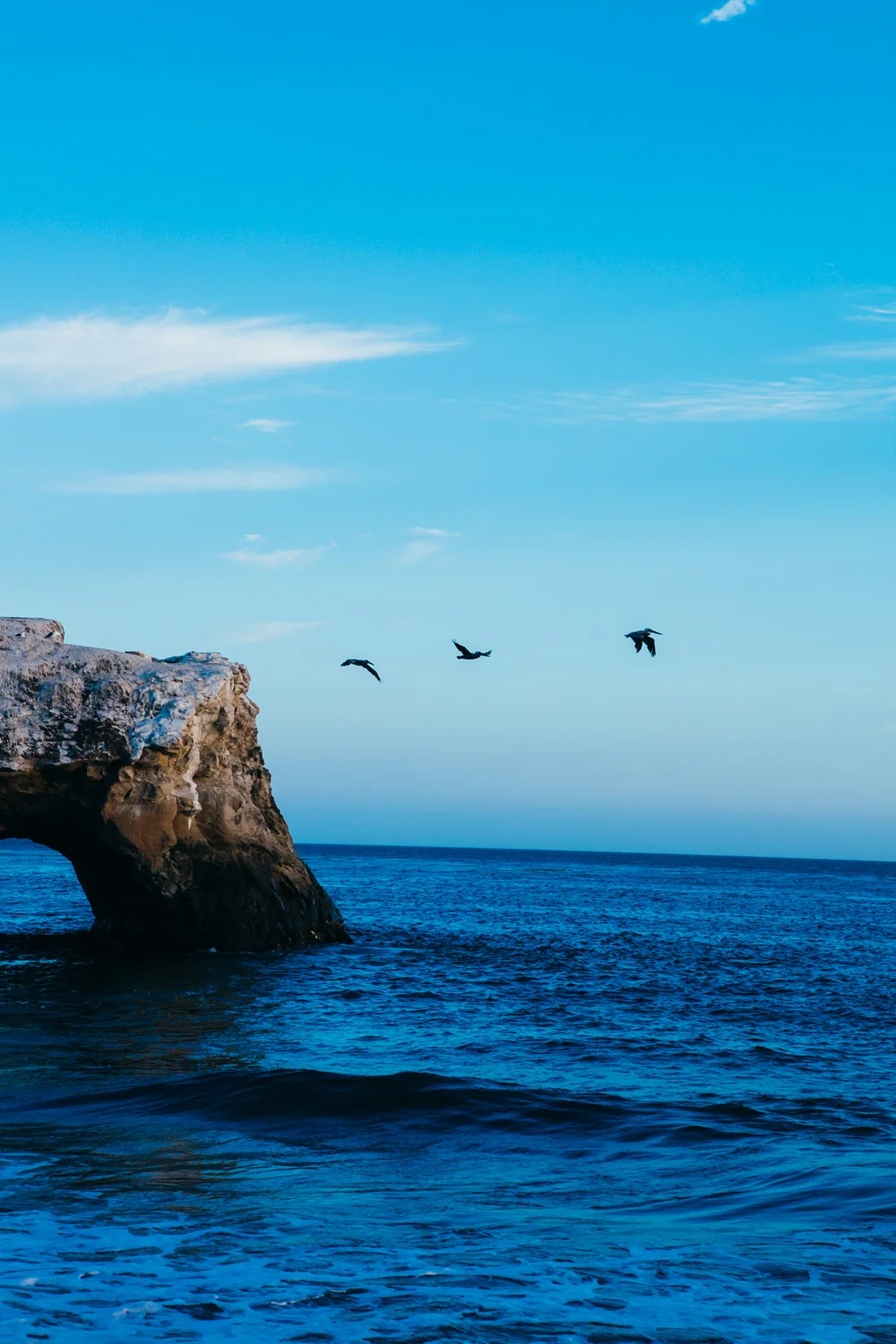CALIFORNIA_AngeloDalBo_15.jpg
