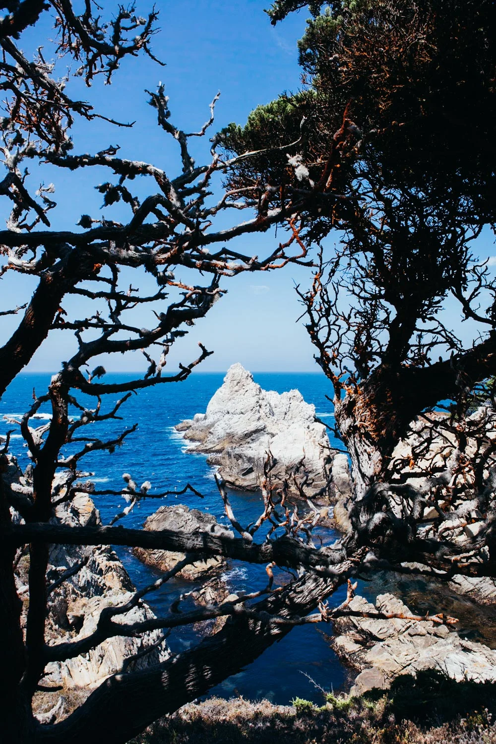 CALIFORNIA_AngeloDalBo_16.jpg