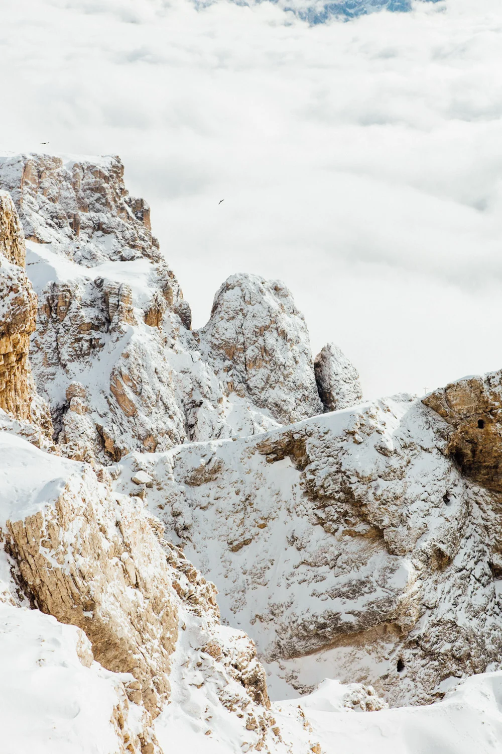 ALTA BADIA_AngeloDalBo_19.jpg