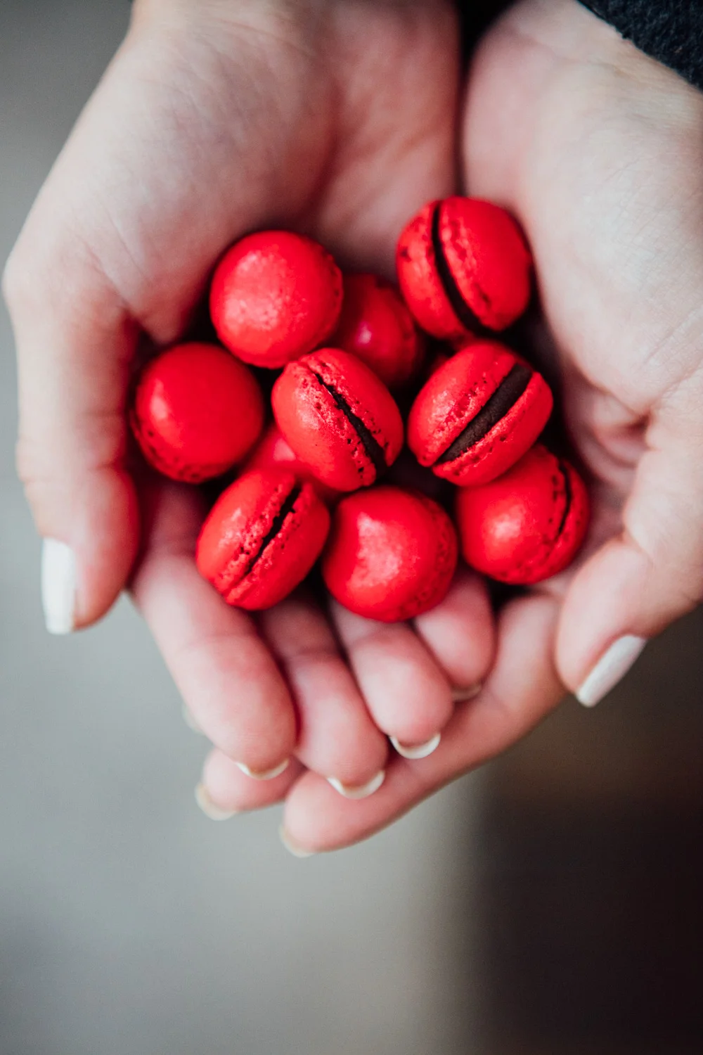 Ici Brasserie_AngeloDalBo_19.jpg