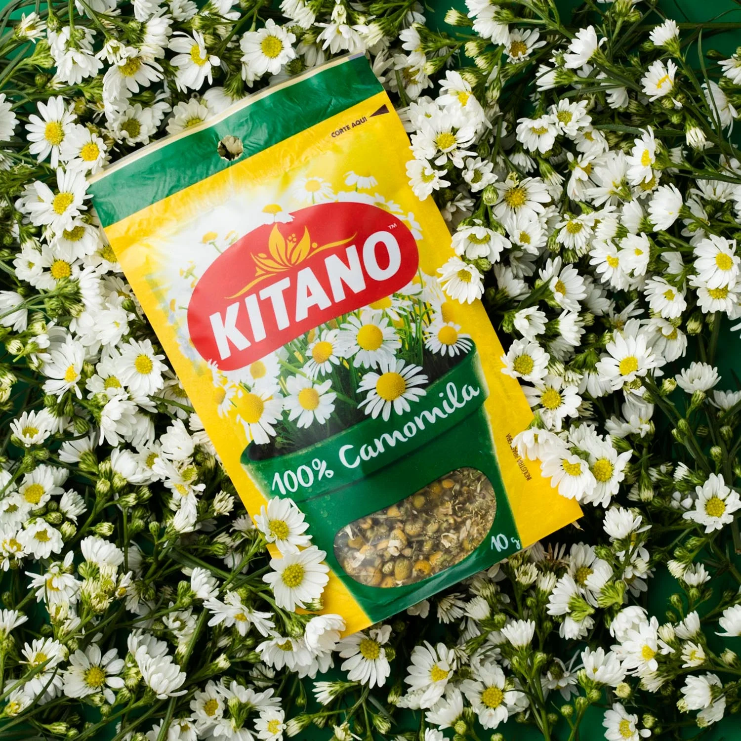 Kitano_AngeloDalBo_19.jpg