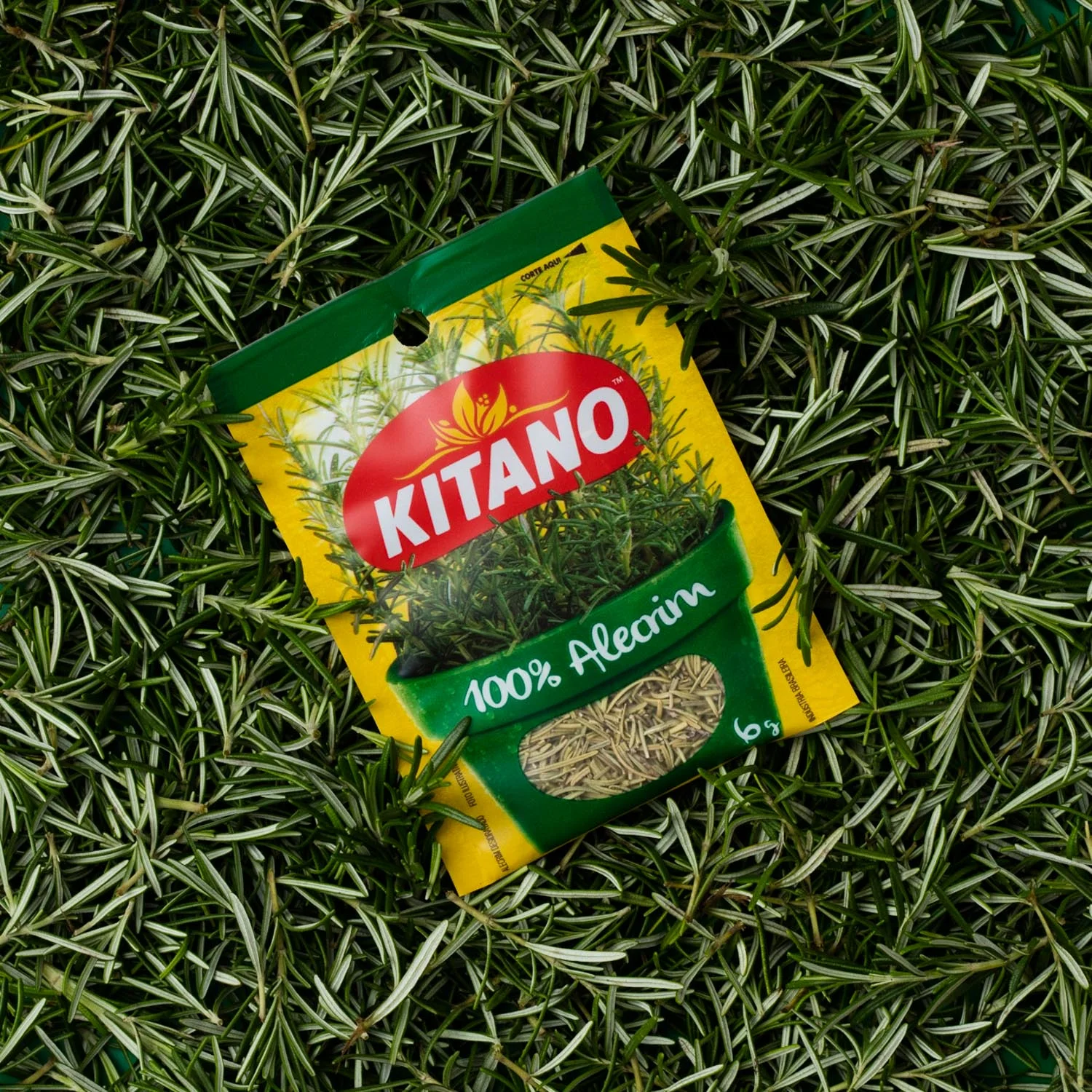 Kitano_AngeloDalBo_24.jpg