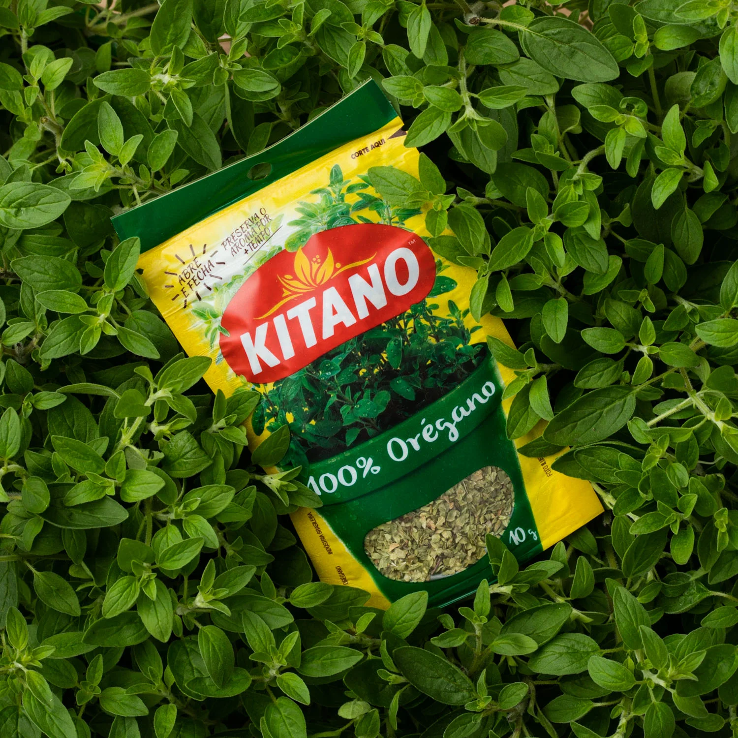 Kitano_AngeloDalBo_26.jpg
