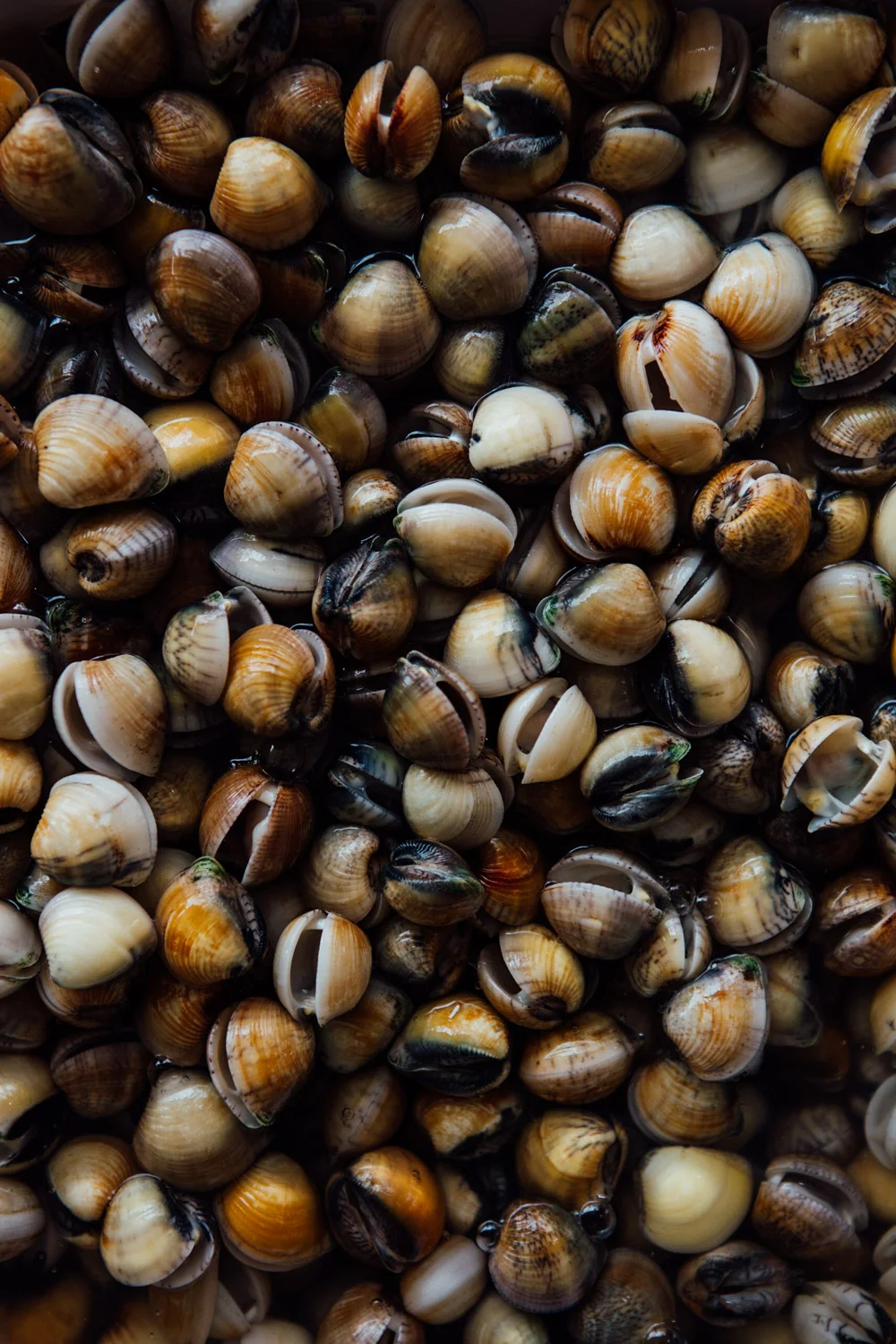 FOOD_AngeloDalBo_63.jpg