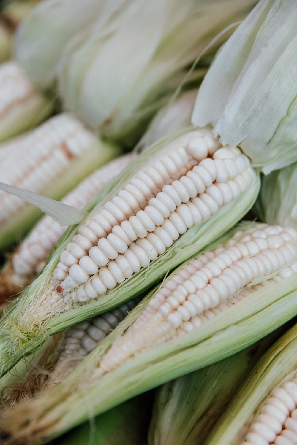 FOOD_AngeloDalBo_84.jpg