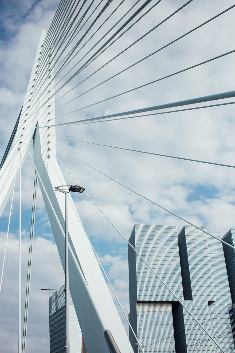 ROTTERDAM_AngeloDalBo_06.jpg