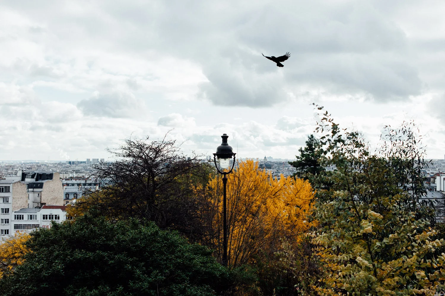 PARIS_AngeloDalBo_07.jpg