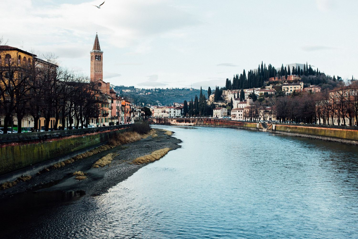 VERONA_AngeloDalBo_07.jpg