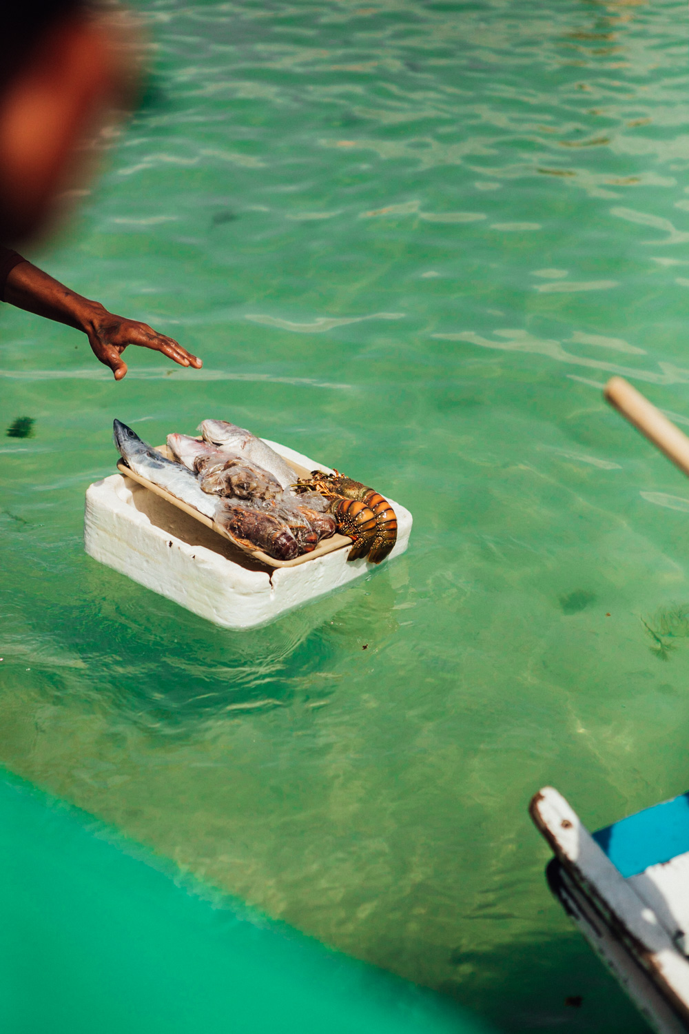 MACEIO_AngeloDalBo_04.jpg
