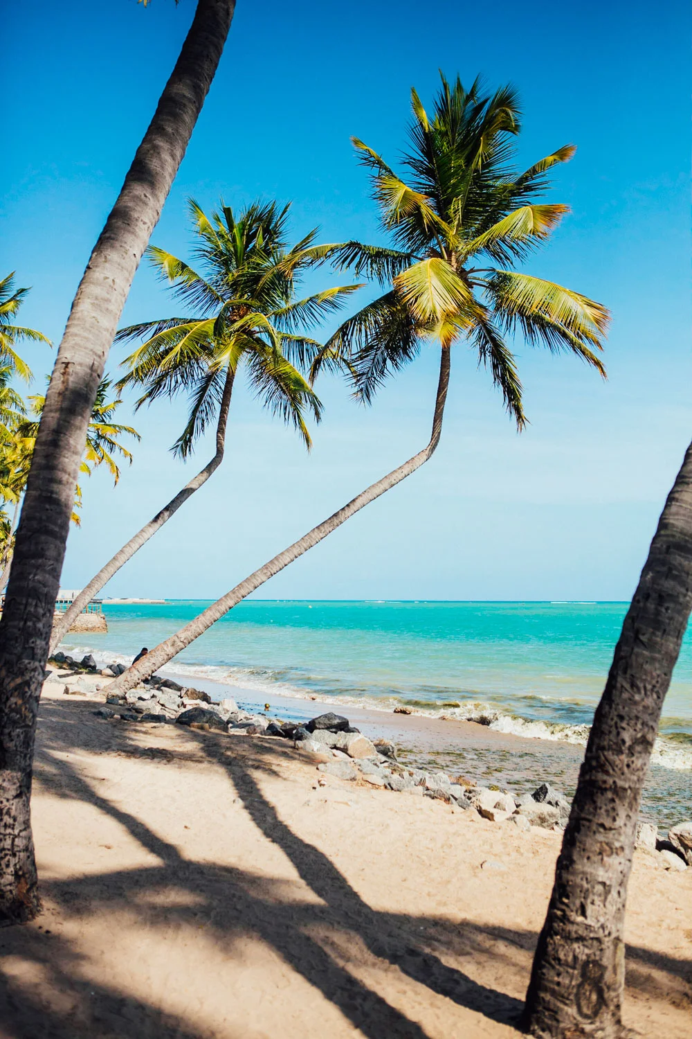 MACEIO_AngeloDalBo_21.jpg