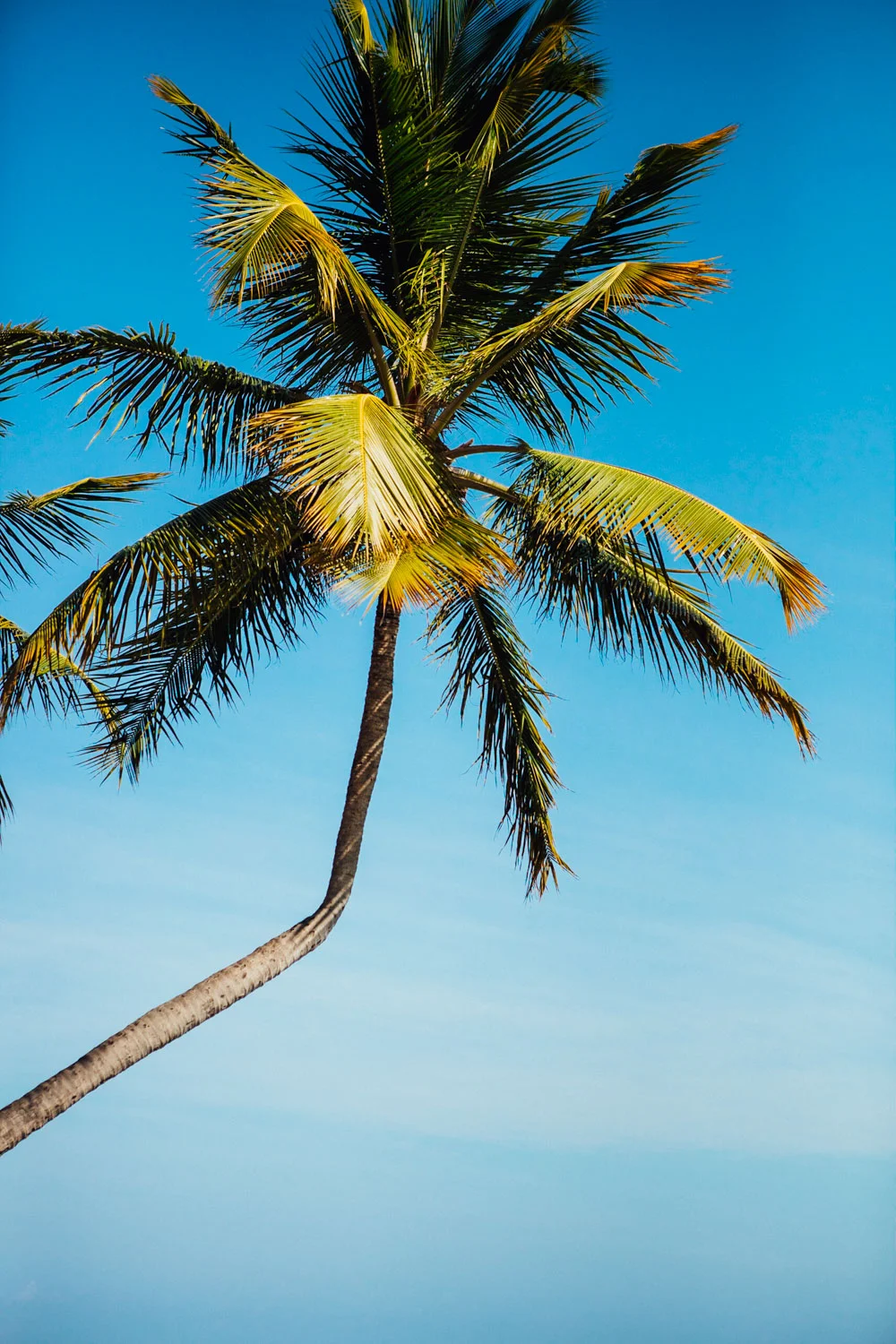 MACEIO_AngeloDalBo_22.jpg