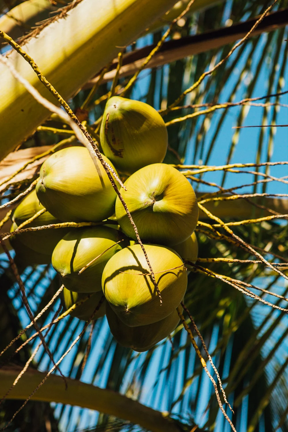 MACEIO_AngeloDalBo_38.jpg