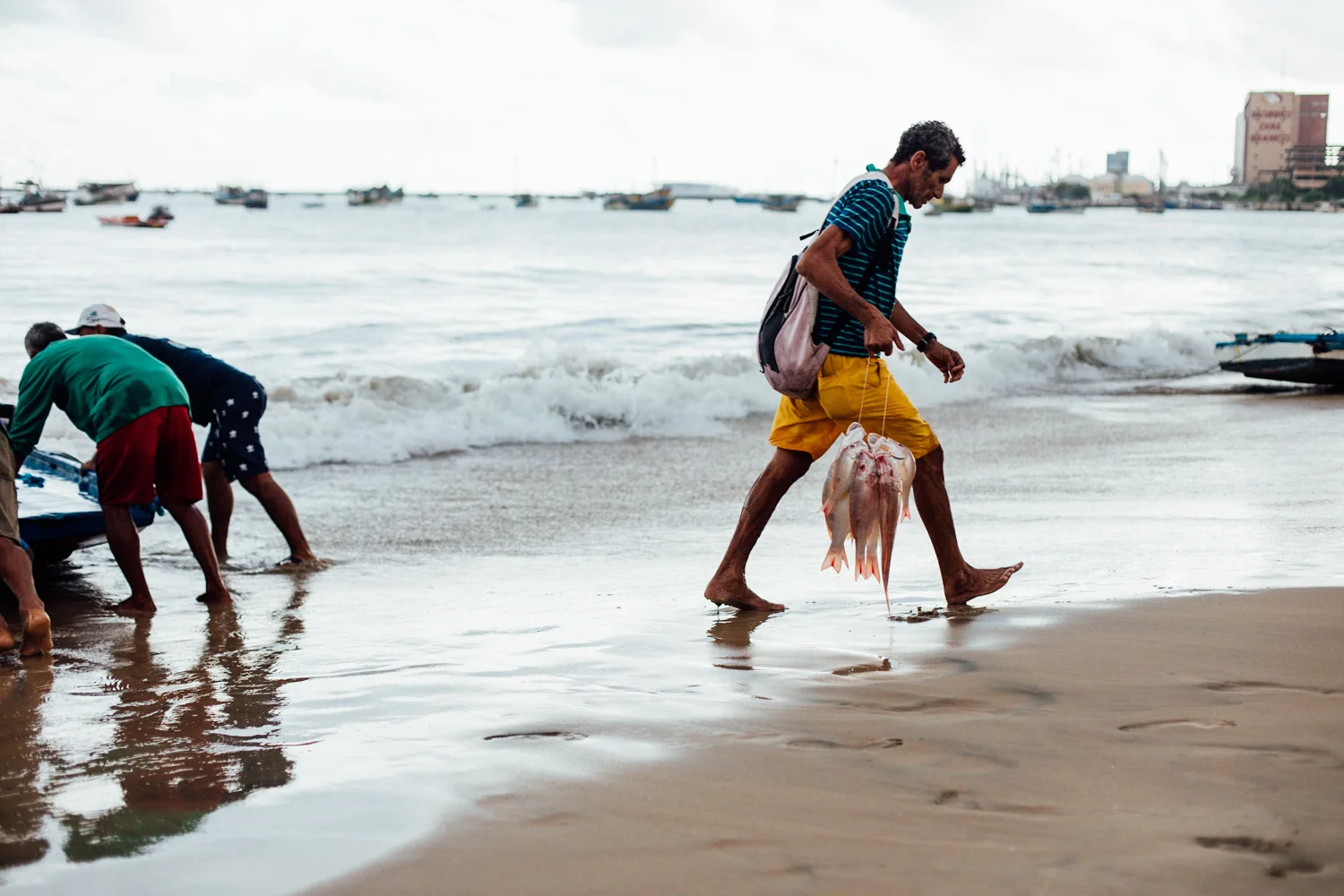 FORTALEZA_AngeloDalBo_11.jpg