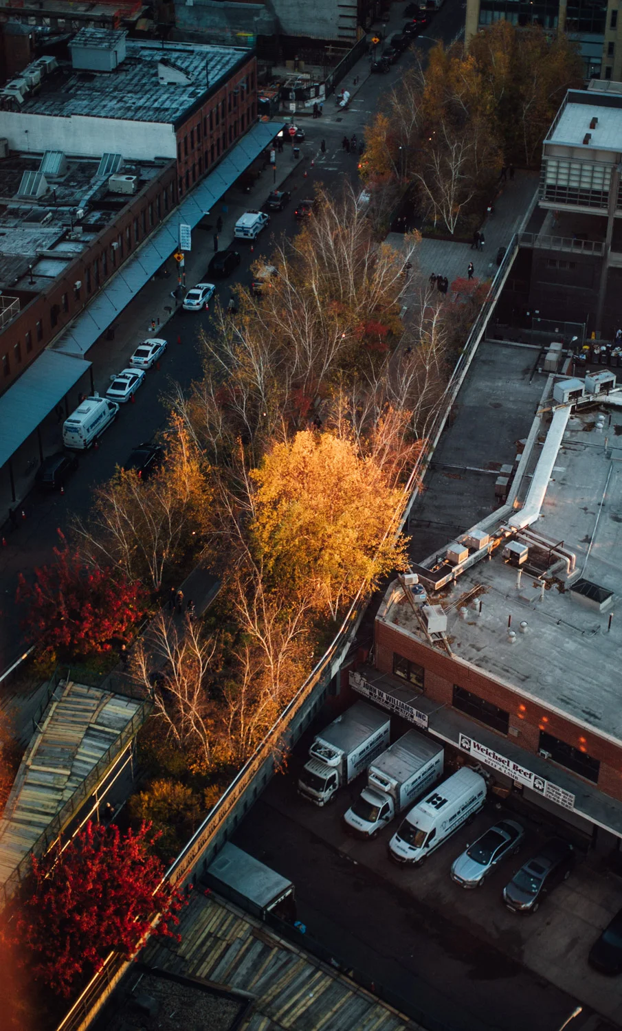 NEW YORK_AngeloDalBo_44.jpg