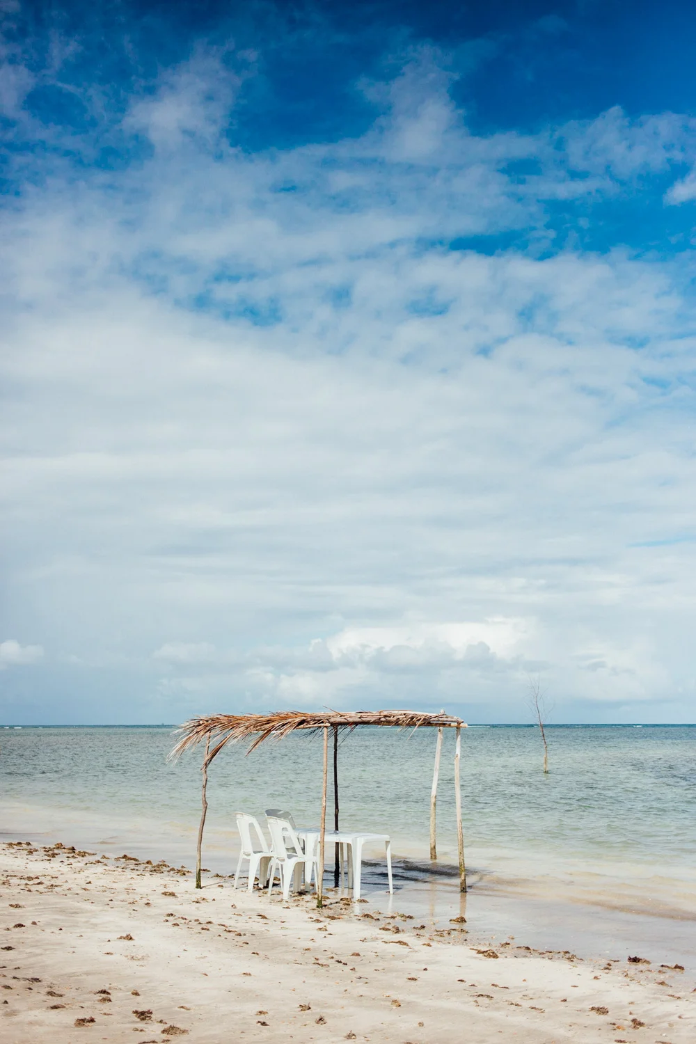 HOME_AngeloDalBo_116.jpg