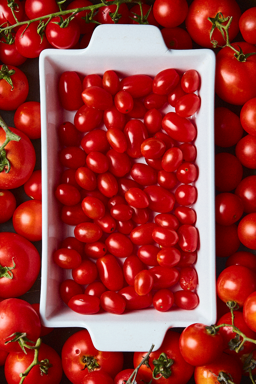 GIF-TOMATES.gif