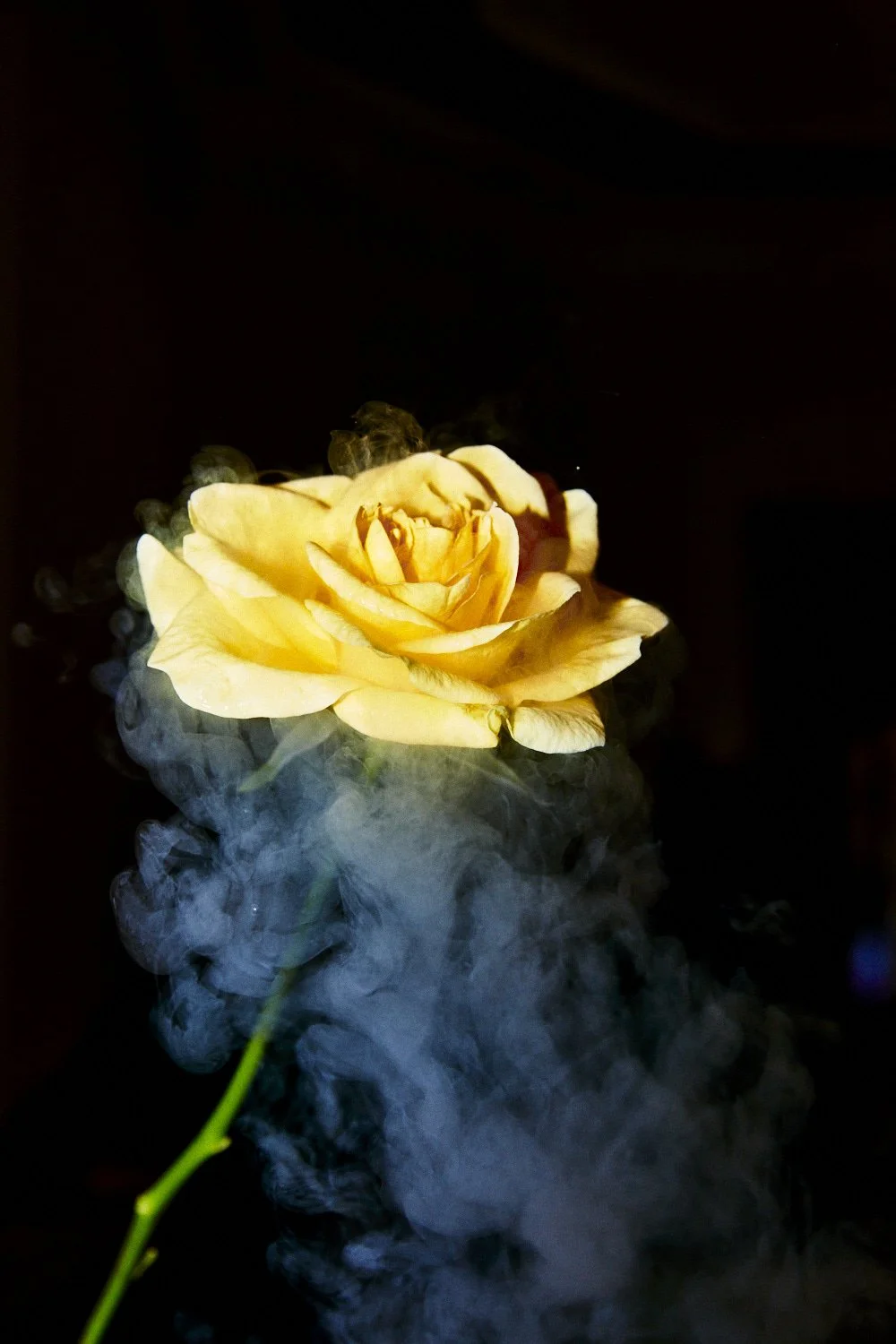 CAIQUE TIZZI_AngeloDalBo_2118.jpg