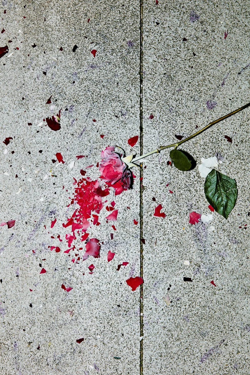 CAIQUE TIZZI_AngeloDalBo_7016.jpg