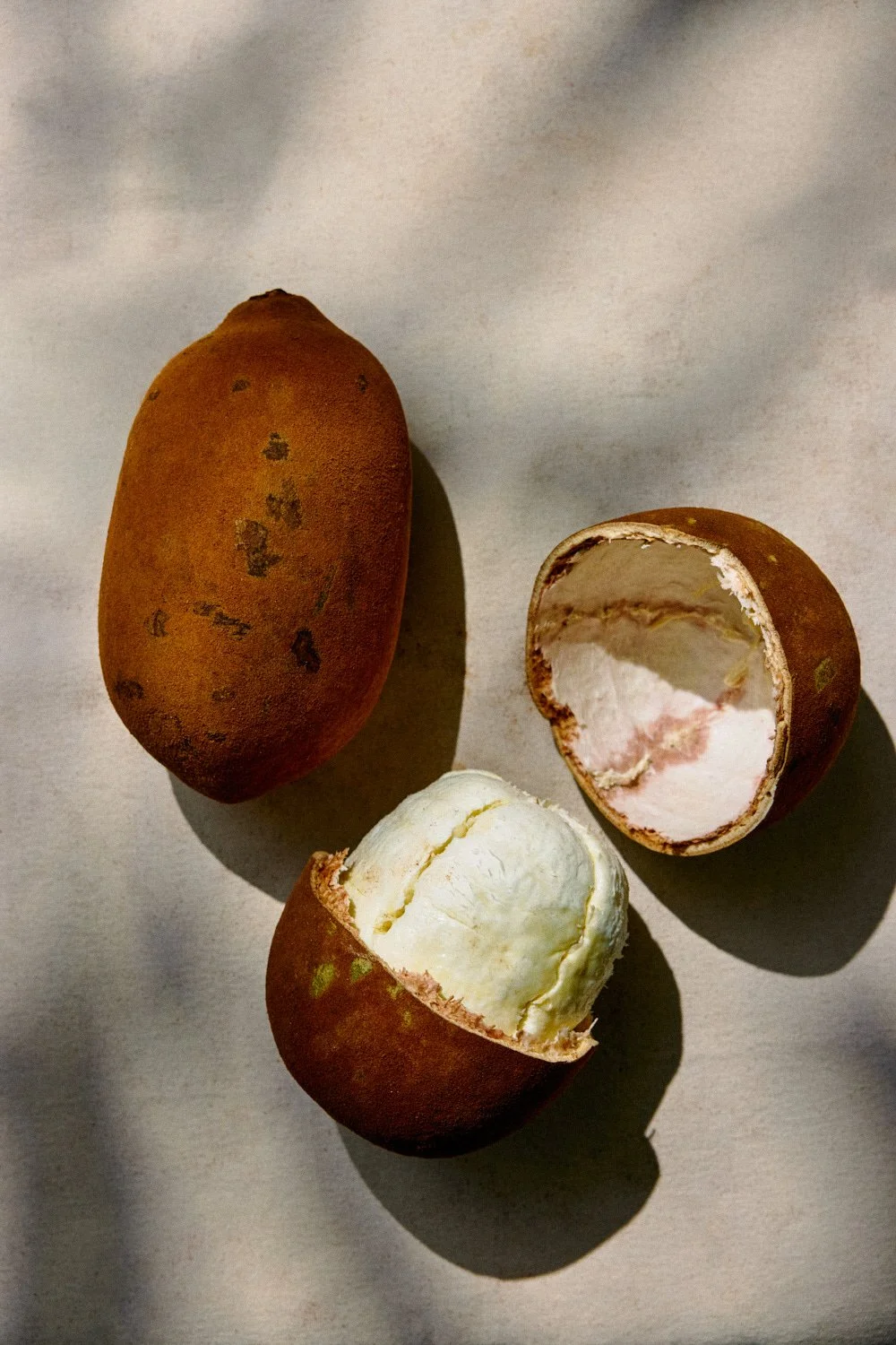 ANGELODALBO_10492_2026_04_FIGA_FOODS_0831 2.jpg