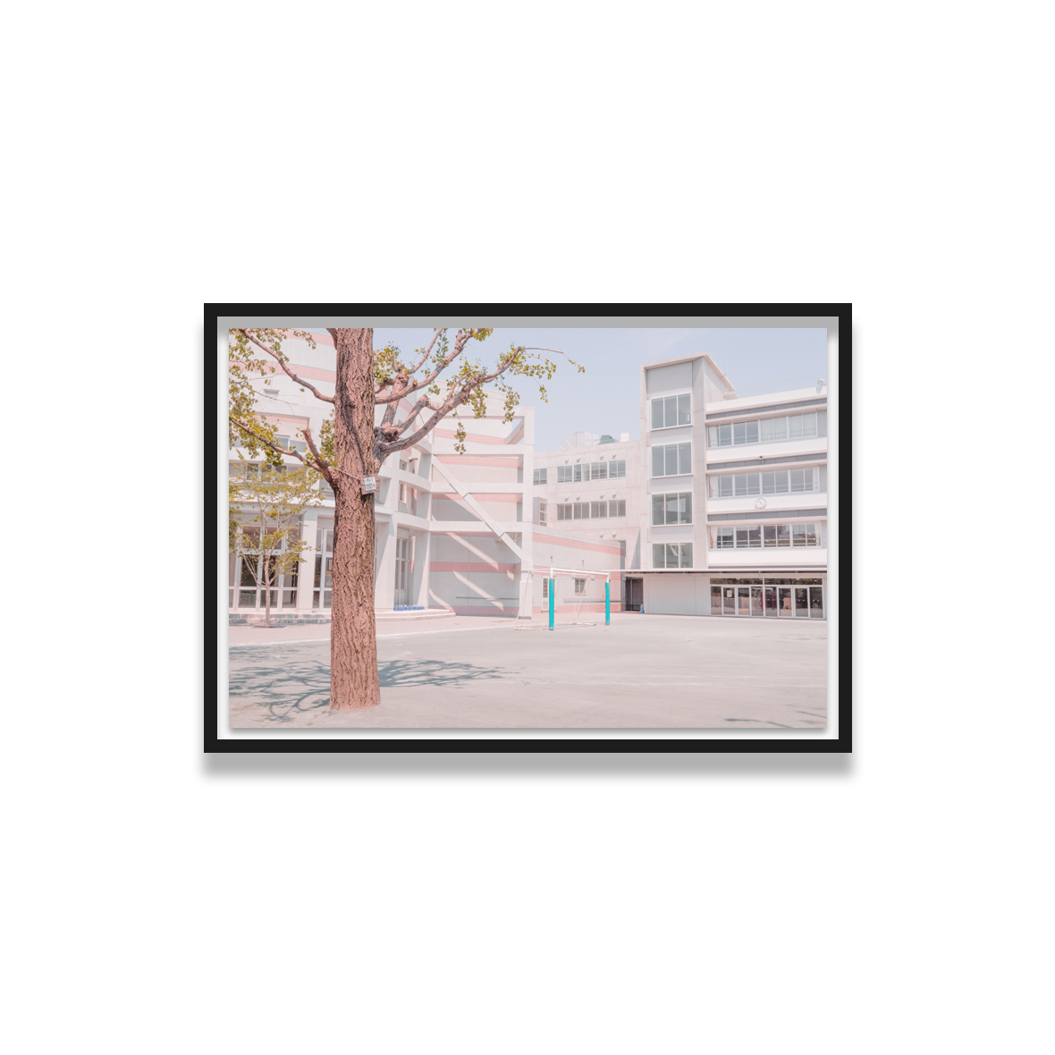 Weston James Palmer Japan Court.png