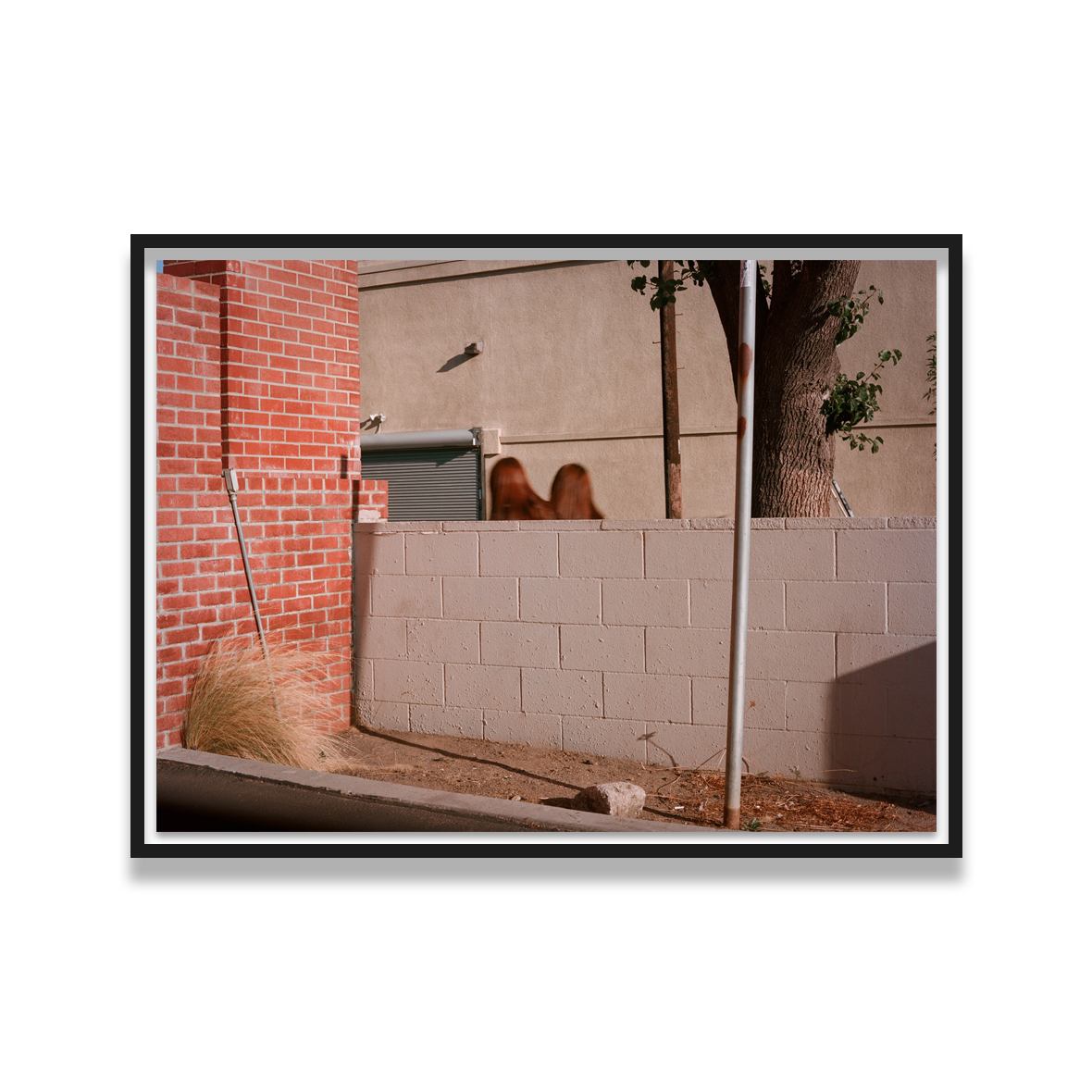 Weston James Palmer Twins.png