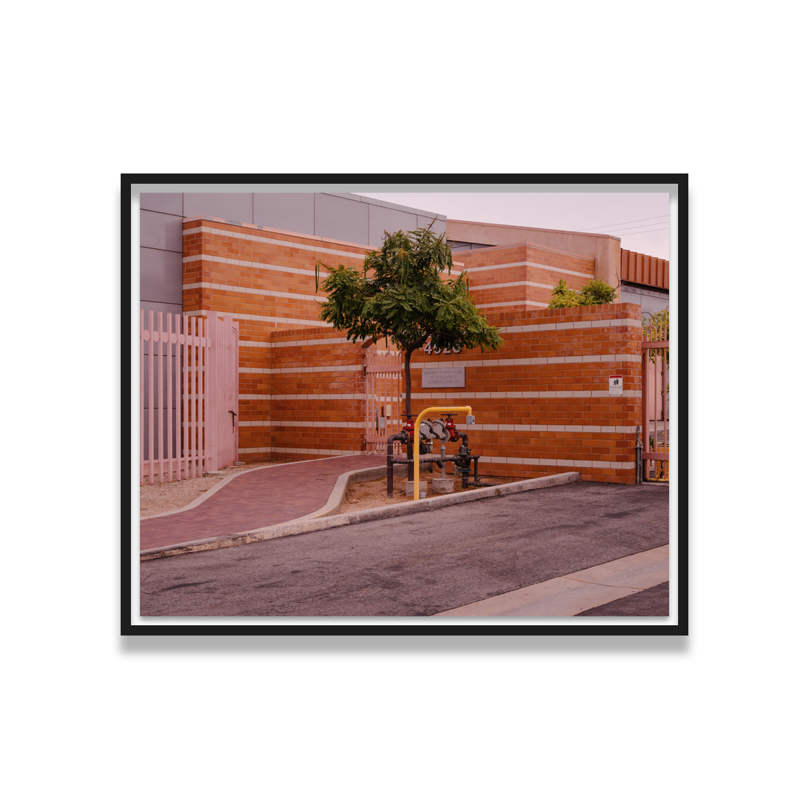 Weston James Palmer Nature.png